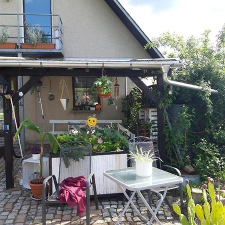 Ferienwohnung Auf Dem Land Rochlitz Экстерьер фото