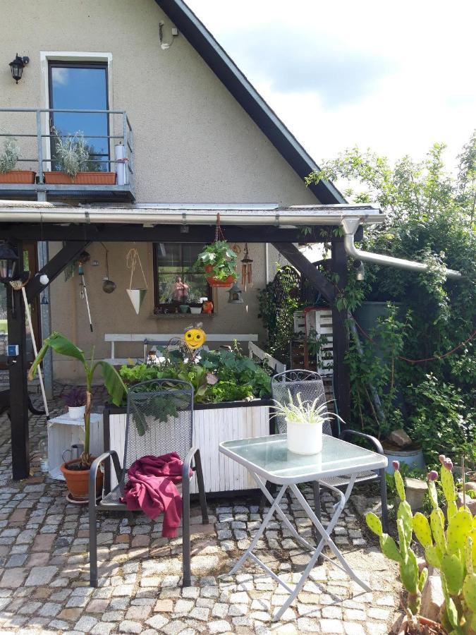 Ferienwohnung Auf Dem Land Rochlitz Экстерьер фото