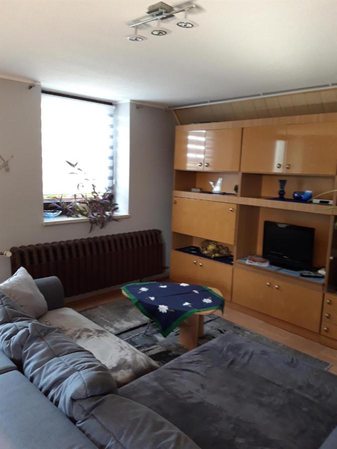 Ferienwohnung Auf Dem Land Rochlitz Экстерьер фото