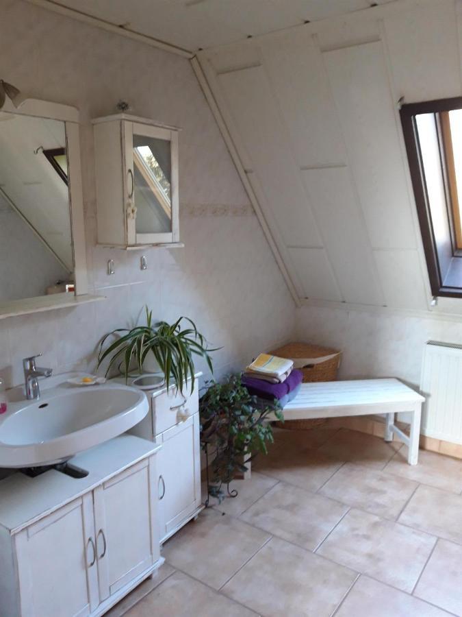 Ferienwohnung Auf Dem Land Rochlitz Экстерьер фото