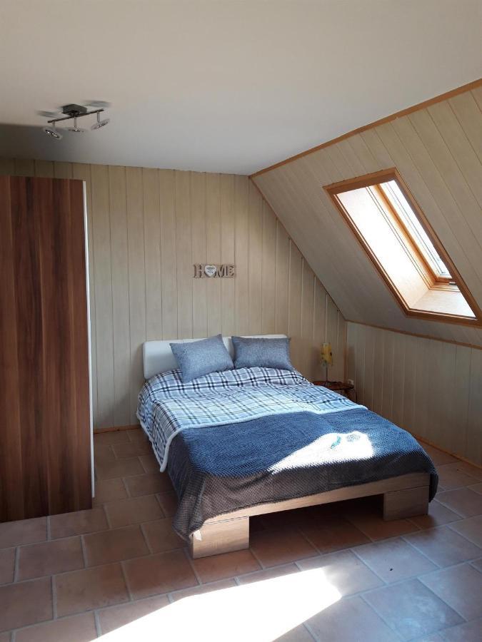 Ferienwohnung Auf Dem Land Rochlitz Экстерьер фото